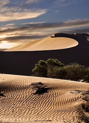 Sand dunes by Alex Neumayer