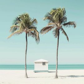 Palmen am Strand von Poster Art Shop