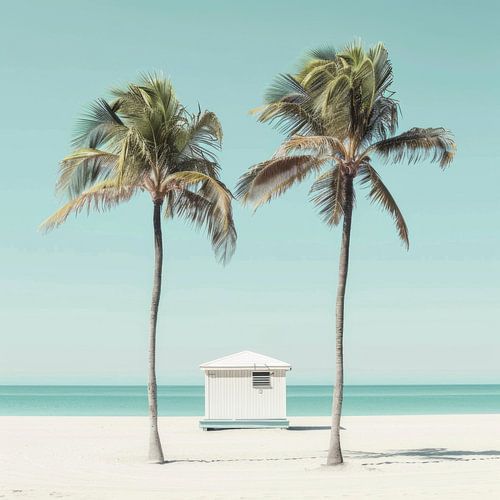 Palmbomen op het strand