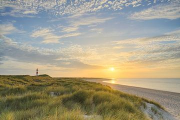 Sommerabend auf Sylt