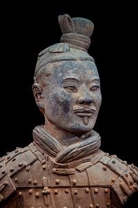 Het Terracottaleger van Xian in China