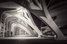 Valencia by Bianca  Hinnen