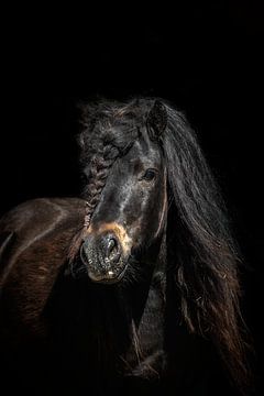 Fee van Eilandkarakters Ameland