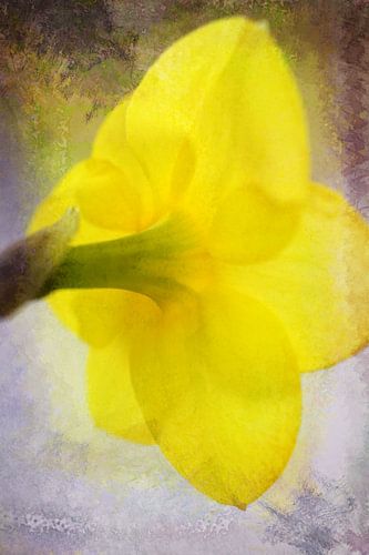 A Different Point of View