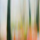 Lost by Thomas Matzl thumbnail