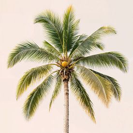 Tropische Palme von IamHome Studio