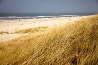 Dünen und Strand auf Spiekeroog, Niedersachsen von Peter Schickert Miniaturansicht