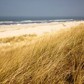 Duinen en strand op Spiekeroog, Nedersaksen van Peter Schickert