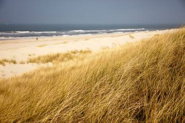 Dünen und Strand auf Spiekeroog, Niedersachsen von Peter Schickert