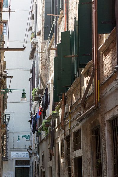Venice by heidi borgart