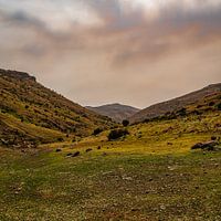 far