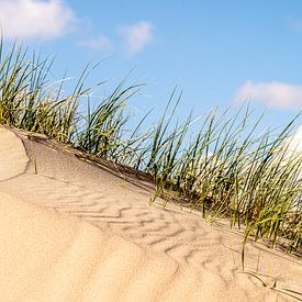 Stuifduin op top duinen nabij Castricum van Rutger van der Klip