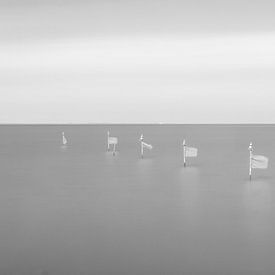 Drapeaux dans l'eau sur Casper Smit