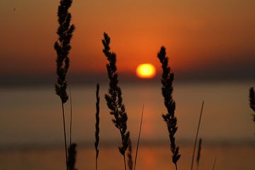 beach sunset van Edwin Van kleef