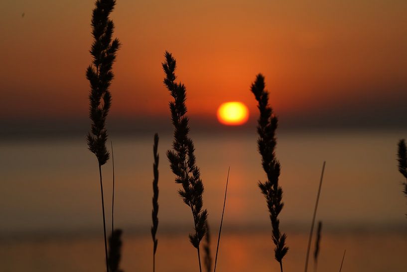 sunset by Edwin Van kleef