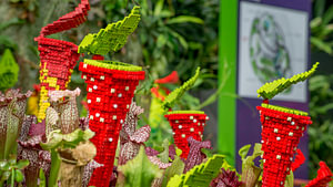 Cloud Forest - Singapore