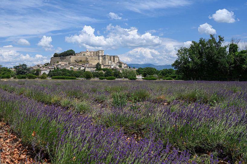 Schloss von Grignan, Frankreich von Peter Bartelings