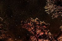 Starry sky Costa Rica