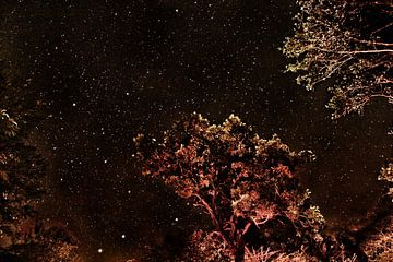 Starry sky Costa Rica by Ralph van Leuveren