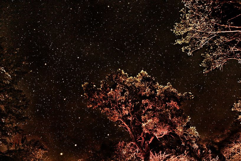 Starry sky Costa Rica by Ralph van Leuveren