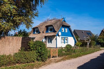Thatched houses with blue sky in Ahrenshoop, Germany
