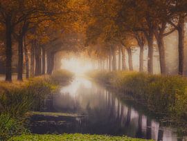 Herfst in Friesland