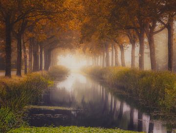 Herfst in Friesland van Claudia De Vries
