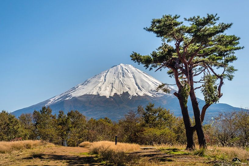 Mount Fuji by Hello Pompoyo