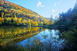 Herbstlich gefärbter See in den Vogesen von Jos van den Berg