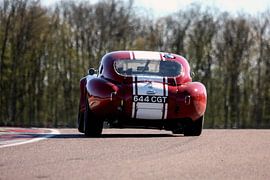 SHELBY COBRA von David BILIEN