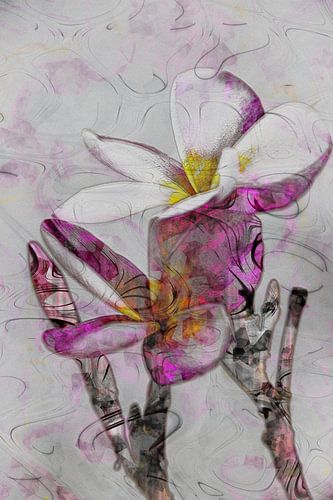 Plumeria Collage von MR OPPX