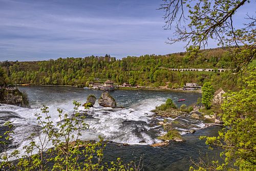 ZWITSERLAND : RIJN WATERVALLEN SCHAFFHAUSEN