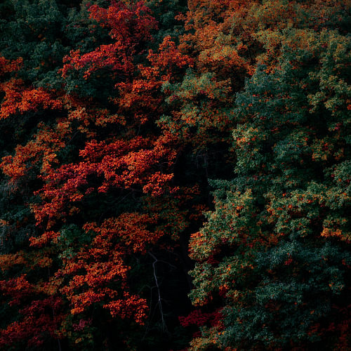 Mythen van de herfst