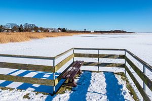 Bodden avec ponton à Born sur le Fischland-Darß en hiver sur Rico Ködder