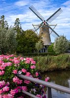 Colijnsplaat Zeeland