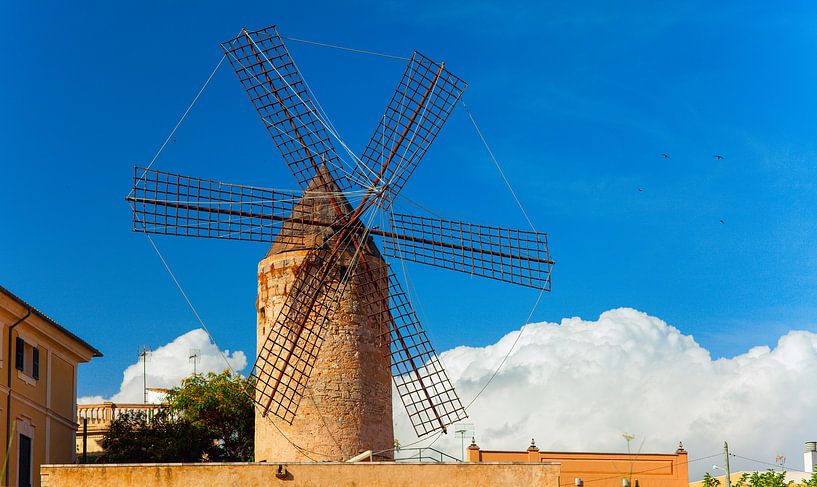 Old style windmill on the blue sky by Yevgen Belich