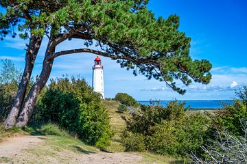 Vue du phare depuis l'île de Hiddensee sur la mer Baltique sur Andreas Völkel