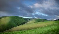 Green Fields
