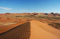 Düne in der Namib Wüste (Namibia) Big Daddy van ManSch thumbnail
