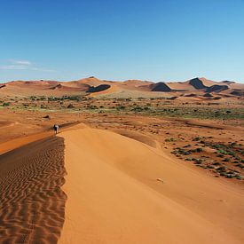 Düne in der Namib Wüste (Namibia) Big Daddy von ManSch