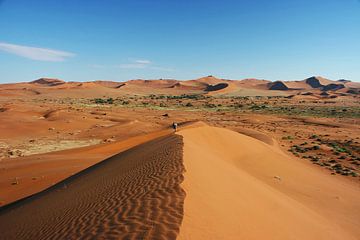 Dune Big Daddy in the Namib Desert van ManSch