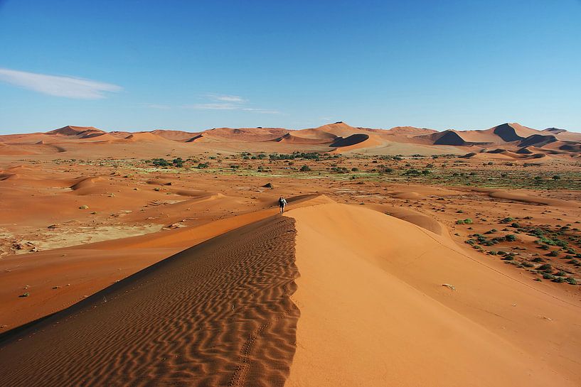 Düne in der Namib Wüste (Namibia) Big Daddy van ManSch