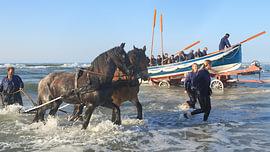 Canot de sauvetage à rames de Terschelling
