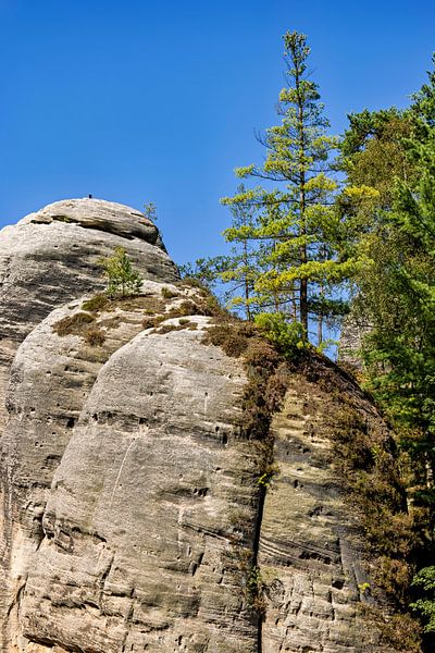 Die Weckelsdorfer Felsenstadt bei Aderbach von Roland Brack