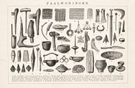Antieke plaat met archeologische vondsten van Studio Wunderkammer thumbnail
