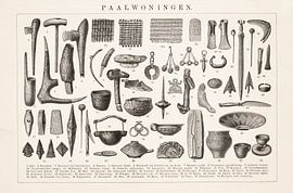 Antieke plaat met archeologische vondsten van Studio Wunderkammer