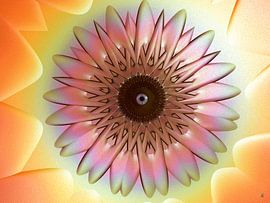 The fate of broken flowers by Petra Köhler