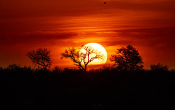 Prachtige zonsondergang!