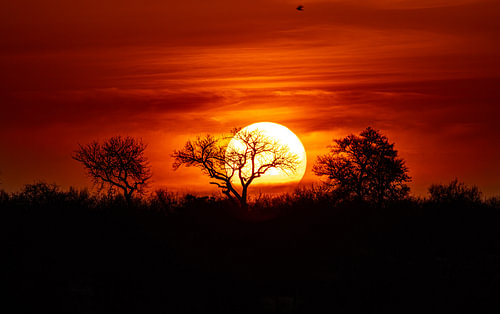 What a beautiful sunset!