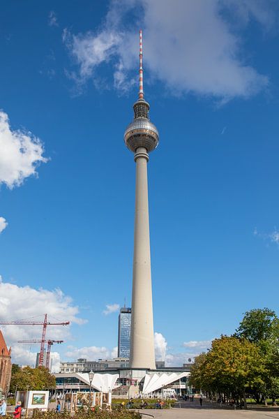 Berlin - Fernsehturm am Alexanderplatz von t.ART